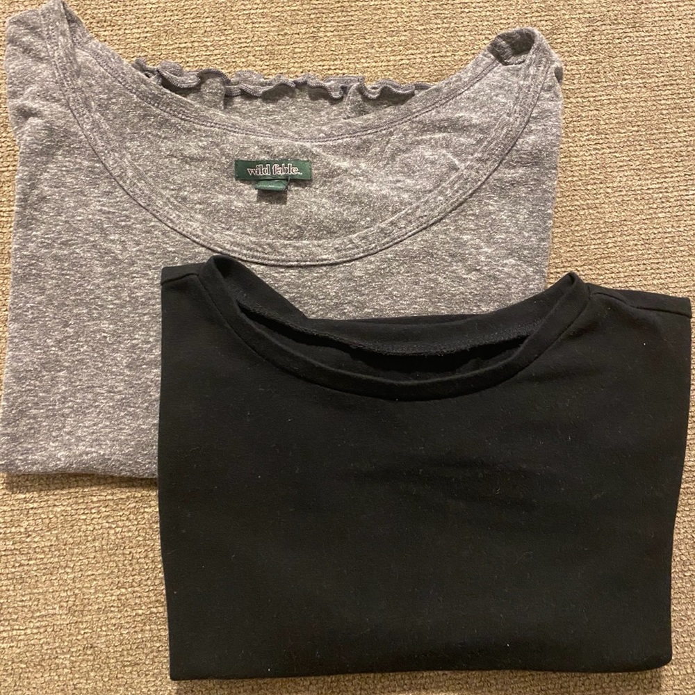 Wild Fable Crop Tops